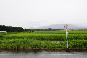 雨の大山。山頂は見えない。 雨の大山。山頂は見えない。